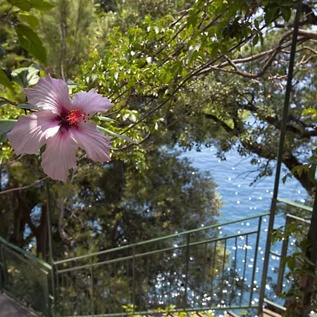 - Lo Scoglio Positano