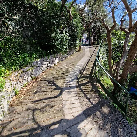 Vila - Lo Scoglio Positano